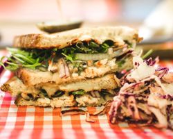 grilled chicken sandwich with mixed greens and slaw